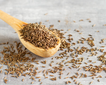 Cumin seeds on a spoon on gray background for cooking or alternative medicine