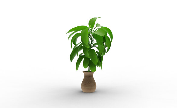 Guiana Chestnut plant with shadow 3d render
