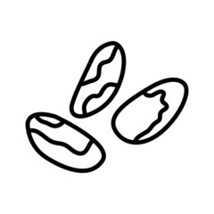 Brazil nuts outline icon isolated on white. Bertholletia.