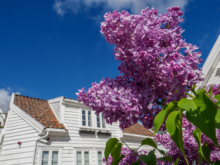 Stavanger in Norwegen