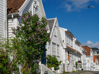 Die Altstadt von Stavanger in Norwegen