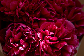 bouquet of peonies. Beautiful bouquet. Close-up of peonies. 