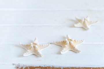 Starfish on white wooden background with copy space.