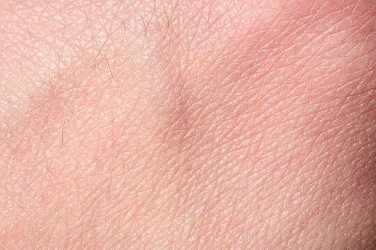background of a pink skin texture. Healthy skin. Macro photo of skin cells.