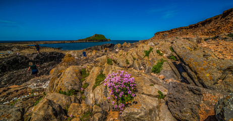 Obraz premium Wormshead, Gower, Wales, UK