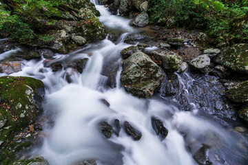 Fototapeta na wymiar 渓谷瀬戸の滝道中の渓流
