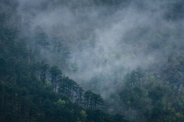 Fototapeta na wymiar Nebel im Gebirge erleuchtet duch sonnenaufgang