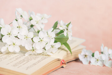 Open old book with white small flowers on a pink background	