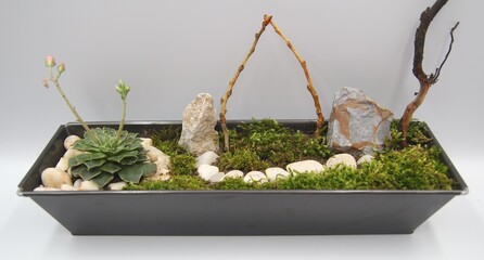 Zen Garden at home. Beautiful miniature garden in pot design with white stones, woods and moss