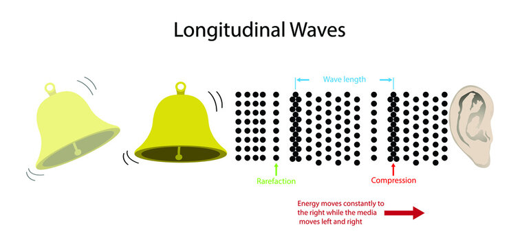 illustration of physics, Longitudinal waves are waves in which the vibration of the medium is parallel, Sound waves,   the frequency and wavelength,  periodic motion