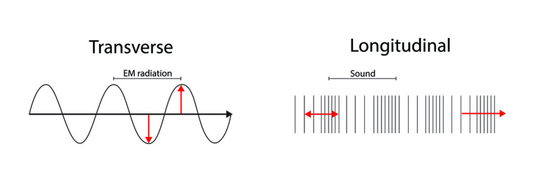 illustration of physics, Mechanical Waves Transverse Waves And Longitudinal Waves, waves is on the basis of the direction of movement of the individual particles