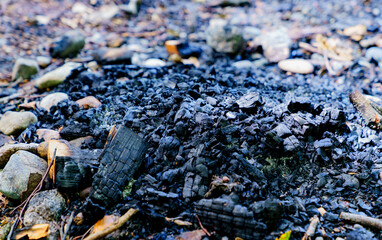 Extinguished campfire wood charcoal