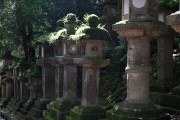 奈良の春日神社の石燈籠