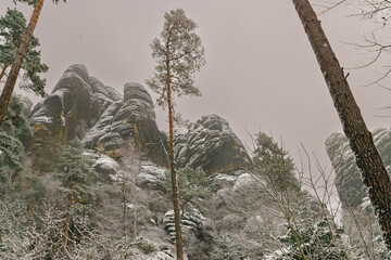 snowy hiking path at the Elbsandsteingebirge (Saxon Switzerland, Germany)