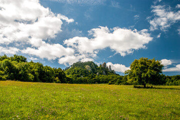 meadow and sky