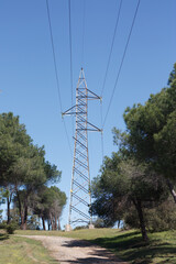 Obraz premium View of the high voltage power lines in the forest surrounded by trees at sunlight
