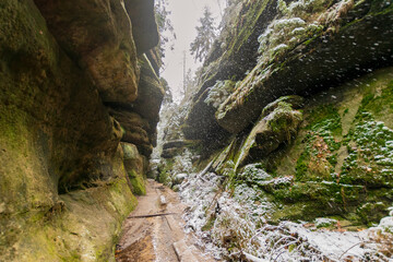 snowy hiking path at the Elbsandsteingebirge (Saxon Switzerland, Germany) - obrazy, fototapety, plakaty