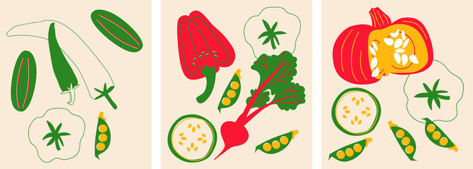 Fototapeta premium Cute appetizing Vegetables collection. Decorative abstract horizontal banner with colorful doodles. Hand-drawn modern illustrations with Vegetables, abstract elements. Pumpkin, peas, peppers art
