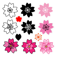 Sakura icon on white background