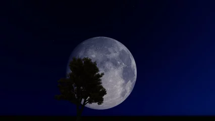 Photo sur Plexiglas Pleine Lune arbre Illustration 3D d& 39 une femme pleine lune arbre avec chariot la nuit. Rendu 3D