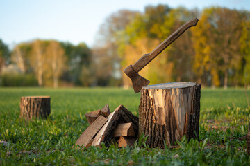 An axe stuck in a stump in a field in evening light - obrazy, fototapety, plakaty