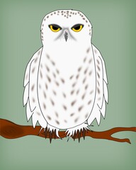 owl sitting on a branch