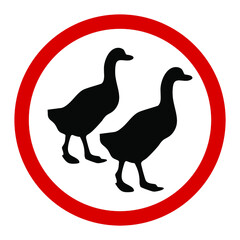 Geese or ducks, red round warning sign, vector illustration