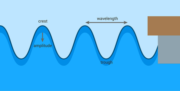 Transverse Wave