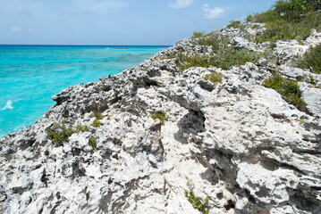 Fototapeta na wymiar Half Moon Cay Island Eroded Landscape