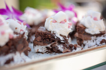 A view of a tray of marshmallow brownies.