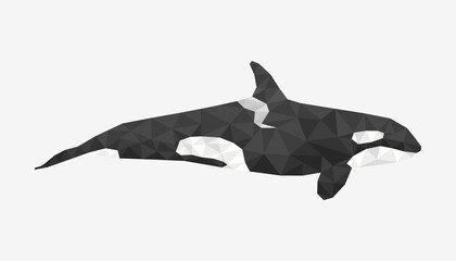 low poly orca on isolated background