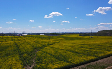 Aerial view of agro rural green fields and rustic landscape