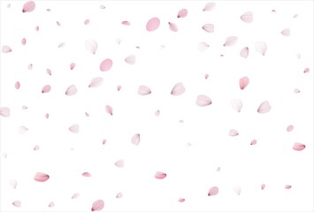 Sakura petals background. Cherry petals