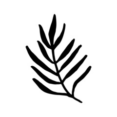 Palm leaf vector silhouette. Black on white. Vector illustration