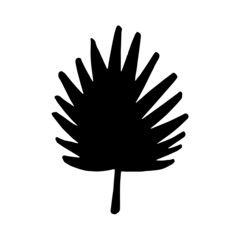 Palm leaf vector silhouette. Black on white. Vector illustration