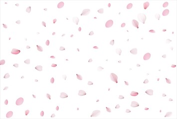 Fototapeta na wymiar Sakura petals. Cherry petals backdrop