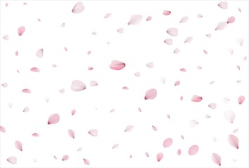 Cherry petals backdrop. Sakura petals background.