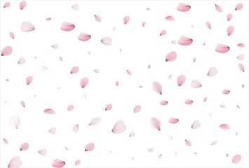 Cherry petals backdrop. Sakura petals background.