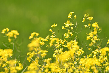 It is pretty warm today