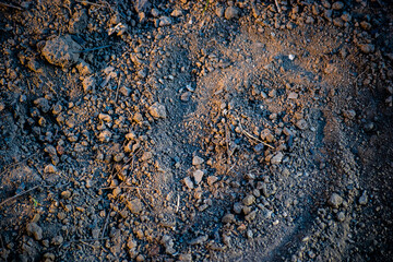 shade soil texture background
