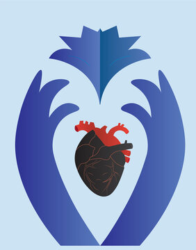 Fox Heart