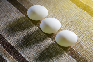 white eggs three on mat and side lighting