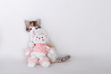 Kitten hugs a little toy pink Kitten. Childhood. Gift. Tabby. Care. Pets.  Beautiful Cat on a white background. Little white red-haired Cat posing at camera. Kitten close up. Tabby. Pets. Pet care