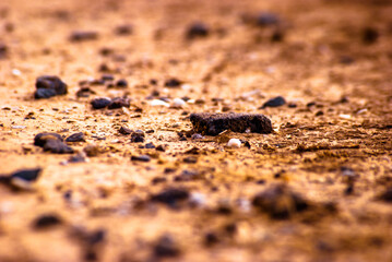 close up surface © pajus