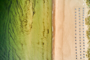 drone view of baltic sea shore and beach in summer - obrazy, fototapety, plakaty