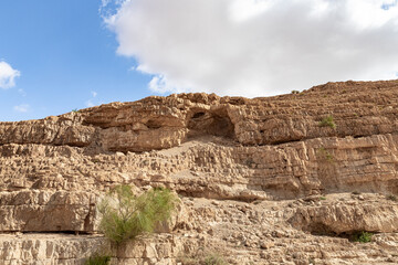 Stone  desert near the Khatsatson stream, on the Israeli side of the Dead Sea, near Jerusalem in Israel