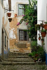 Typical traditional house facade in Portugal 