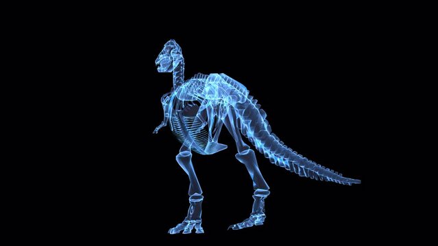 T-Rex skeleton hologram on alpha channel background.