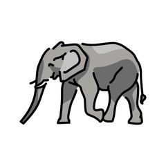 African elephant color line illustration