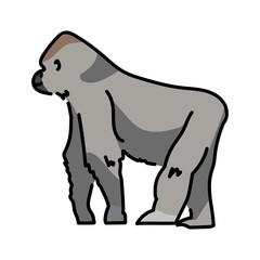 Gorilla color line illustration. Animals of Africa.